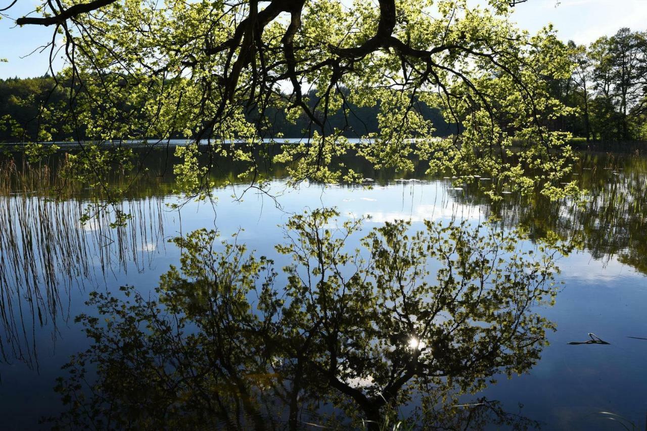 Seehaus Hartwigsdorf Klein Vielen Exteriör bild